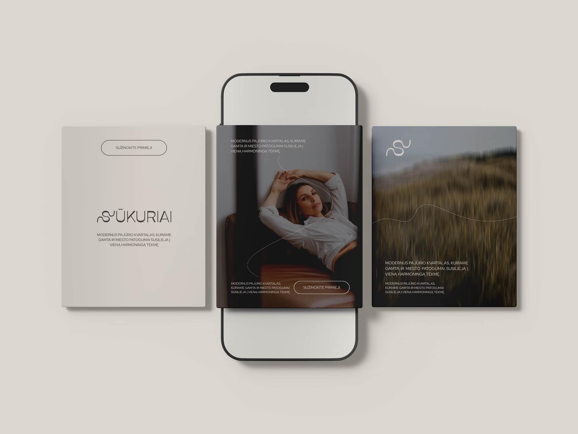 NT projekto pristatymas